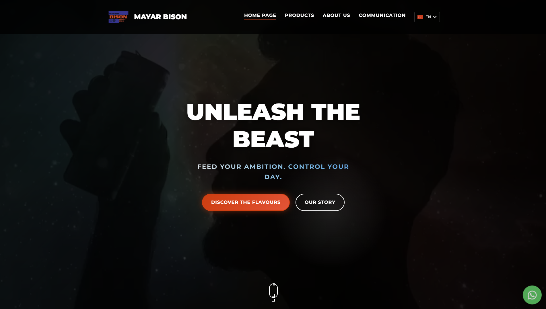 Mayar Bison Website